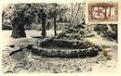 Jardin public de SBA (avant) 10