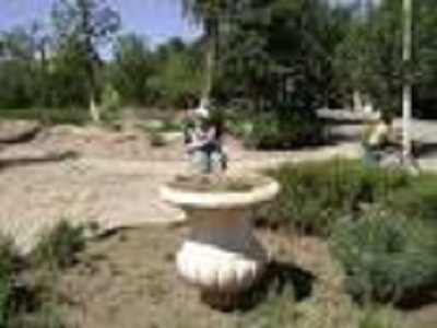 Jardin public de SBA (avant) 9
