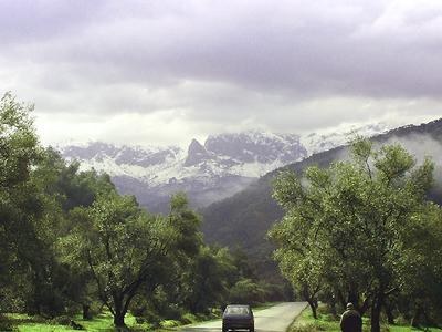 Paysage d'Algérie
