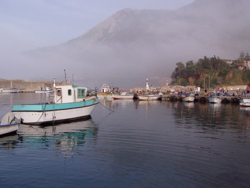 Paysage d'Algérie