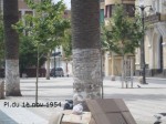 SAM_07581-150x112 dans Sidi bel abbes today !