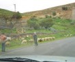 images (2)