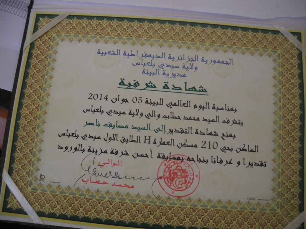 IMGP2007